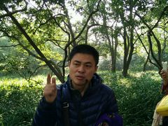 -东方明珠国际旅行社有限公司