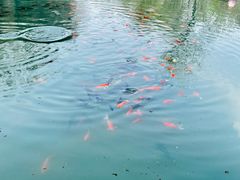 -水磨沟公园
