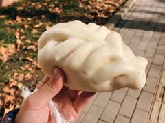鱼香大包-袁大头包子(光华路店)