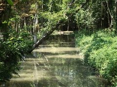 -桤木河湿地公园