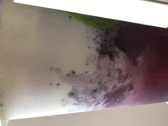 -树夏(建设路店)