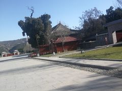 -黄帝陵