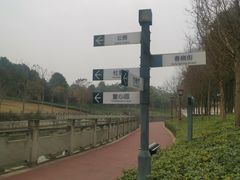 -眉山湿地公园(东坡区)