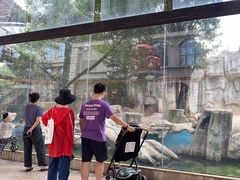-灵玲国际马戏城