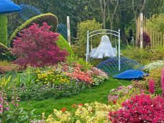 -上海共青森林公园