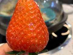 -圣罗巴海鲜自助(黑金店)