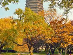 -玲珑塔公园