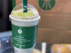 -茉酸奶(春熙路店)