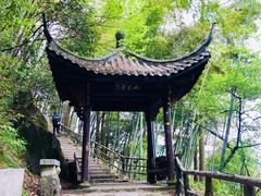 -东天目山风景区