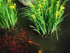-聚缘堂·海鲜私房菜(松岭路店)