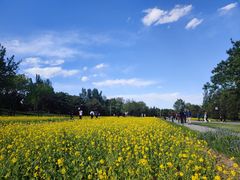 -北坞公园