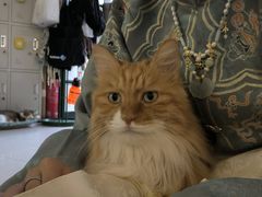 -平行世界·猫咖(首经贸店)