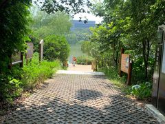 -华侨城湿地公园