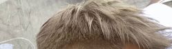 -FASHION PALACE hair+