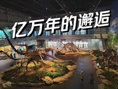 -自贡恐龙博物馆