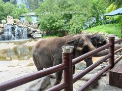 -北京野生动物园