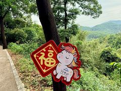 -广州市帽峰山景区