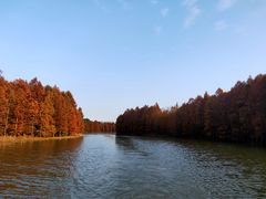 -上海海湾国家森林公园