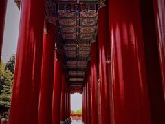 -开福禅寺