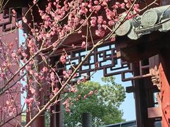 -上海财神庙
