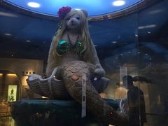 -成都泰迪熊博物馆