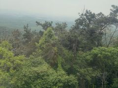 -紫金山天文台