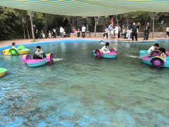 -西部长青自然儿童乐园