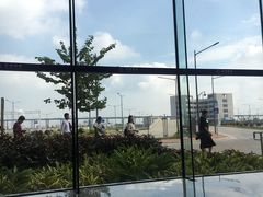 -化龙驾考场