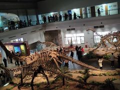 -自贡恐龙博物馆