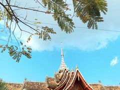 -西双版纳傣族园