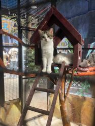 -酷嗒动物文化乐园(cutezoo西溪乐天城店)