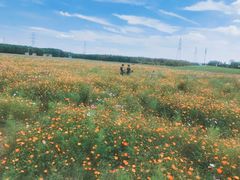 -极度沸点CLUB KTV(世贸中心店)
