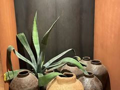 -半山腰·云南菜(侨福芳草地店)