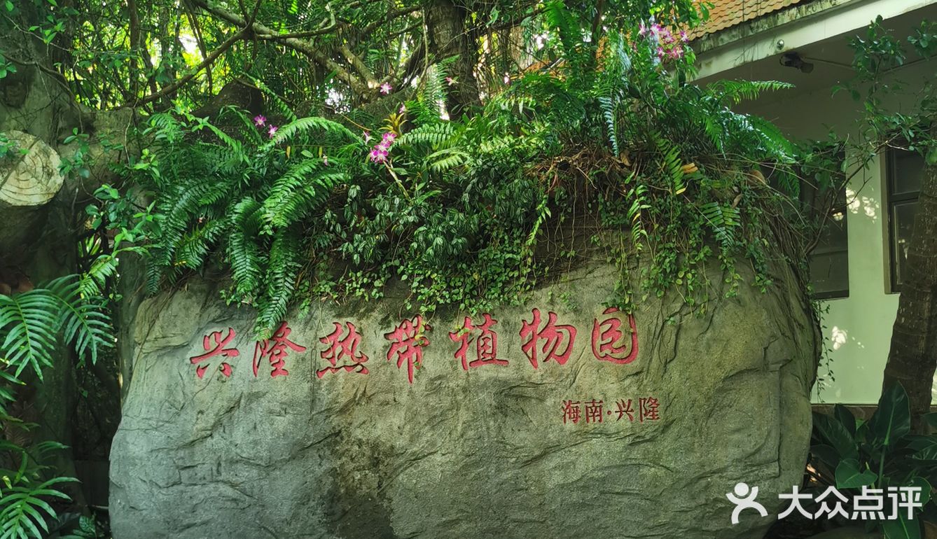 海南旅游｜天了噜‼️热带植物园让我开了眼👀