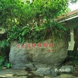 海南旅游｜天了噜‼️热带植物园让我开了眼👀
