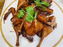 -大班家政月嫂育儿嫂(深圳NO.1店)