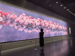 -罗红摄影艺术馆