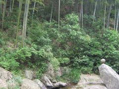 -众神白水涧景区