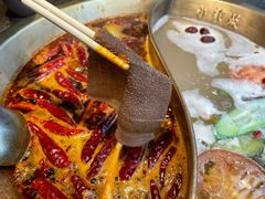 -小龙坎火锅(春熙太古里店)