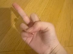 -芙蓉凰花园酒楼