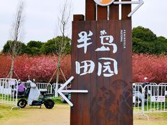 -阳澄湖半岛旅游度假区
