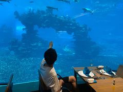 -海棠湾洲际-涛·海底餐厅·美人鱼·自助餐·海底隧道