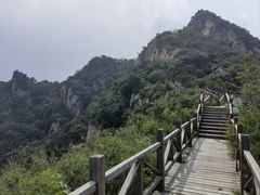 -大岭沟猕猴桃谷风景区