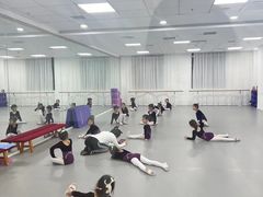 -西安小天鹅艺术团(金花路校区)