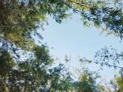 -晓港公园