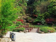 -铁山坪森林公园