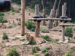 -大连森林动物园