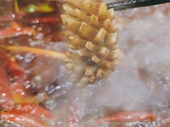 -堂客老火锅(欣阳广场总店)
