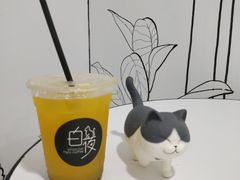 -白夜2D咖啡馆