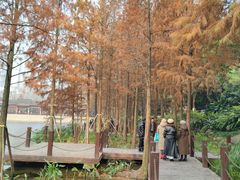 -重庆彩云湖湿地公园
